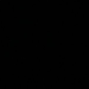 Meet your Posher, Bella